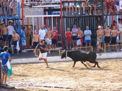 Fotografia /Gallery/19424_10983/6_M1.jpg