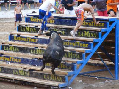 Fotografia /Gallery/19429_10988/2_M1.jpg