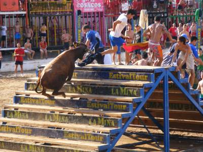 Fotografia /Gallery/19429_10988/5_M1.jpg