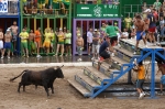 Monetario, de José Vicente Machancoses, mejor toro del concurso.