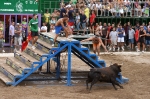 Monetario, de José Vicente Machancoses, mejor toro del concurso.