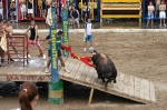 Monetario, de José Vicente Machancoses, mejor toro del concurso.