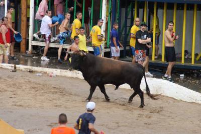 Fotografia /Gallery/19430_10989/2_M1.jpg