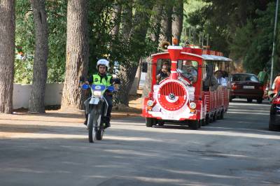 Fotografia /Gallery/19446_11000/2_M1.jpg