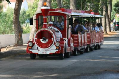 Fotografia /Gallery/19446_11000/4_M1.jpg