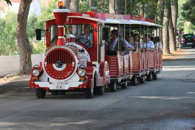 Fotografia /Gallery/19446_11000/5_M1.jpg