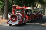 Fotografia /Gallery/19446_11000/7_M1.jpg