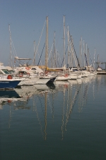 Fotografia /Gallery/19536_11044/5_M1.jpg