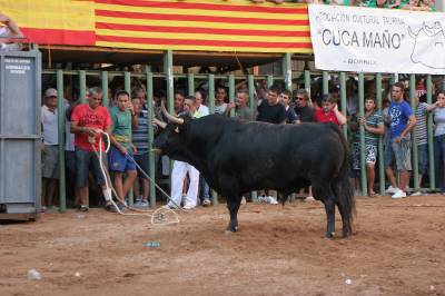 El Indio no puede superar las consecuencias de la cogida y fallece