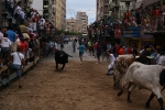 Encierro Sabado