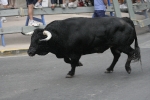 Encierro Sabado