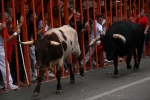 Encierro Sabado