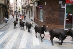Encierro de vaquillas