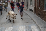 Encierro de vaquillas