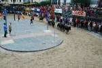 Encierro de vaquillas