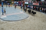 Encierro de vaquillas