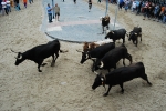 Encierro de vaquillas