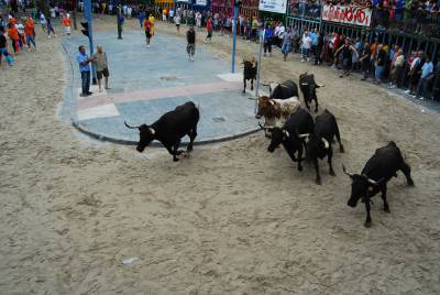 Fotografia /Gallery/20172_11450/2_M1.jpg