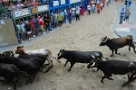Encierro de vaquillas