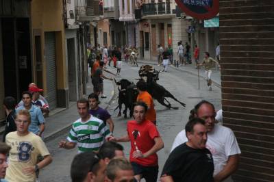 Fotografia /Gallery/20172_11450/3_M1.jpg