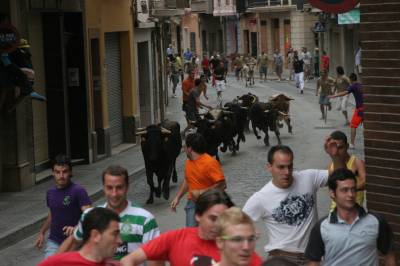 Fotografia /Gallery/20172_11450/4_M1.jpg