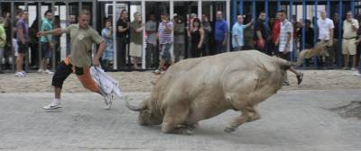 Fotografia /Gallery/20173_11451/3_M1.jpg