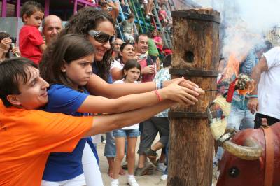 Fotografia /Gallery/20177_11455/2_M1.jpg