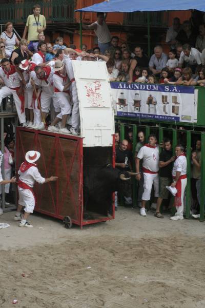 Fotografia /Gallery/20182_11460/2_M1.jpg