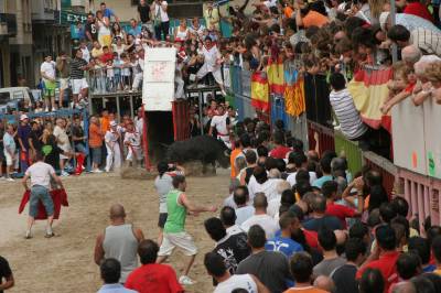 Fotografia /Gallery/20182_11460/6_M1.jpg