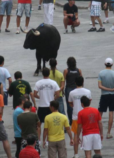 Fotografia /Gallery/20235_11487/2_M1.jpg