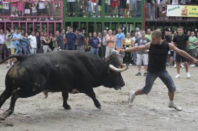 Fotografia /Gallery/20239_11489/3_M1.jpg