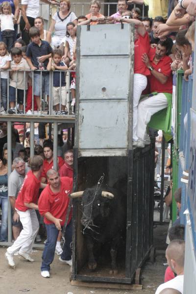 Fotografia /Gallery/20239_11489/4_M1.jpg