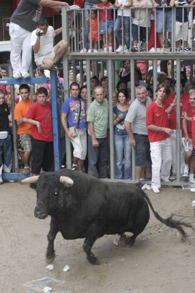 Fotografia /Gallery/20239_11489/5_M1.jpg