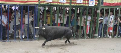 Fotografia /Gallery/20239_11489/6_M1.jpg