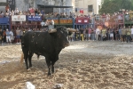 Bourrianeres se encarga del toro del día