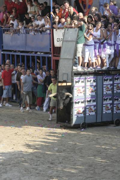 Fotografia /Gallery/20283_11516/4_M1.jpg