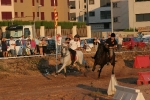 sandías, cerveza y carreras de caballo