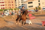 sandías, cerveza y carreras de caballo
