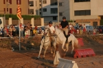 sandías, cerveza y carreras de caballo