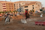 sandías, cerveza y carreras de caballo