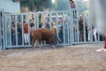 La penúltima jornada de toros cerriles