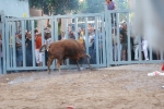 La penúltima jornada de toros cerriles