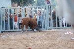 La penúltima jornada de toros cerriles