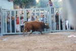 La penúltima jornada de toros cerriles