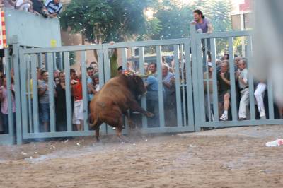 La penúltima jornada de toros cerriles