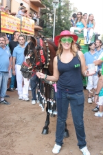 La penúltima jornada de toros cerriles
