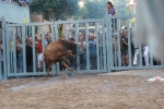 La penúltima jornada de toros cerriles