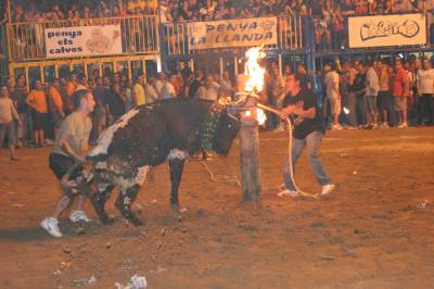 Fotografia /Gallery/20337_11556/3_M1.jpg