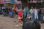 Vaquillas Miguel Parejo.