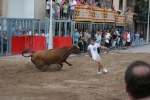 Vaquillas Miguel Parejo.